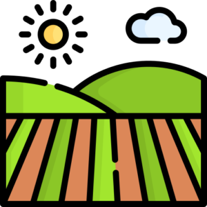 Agriculture & Rural